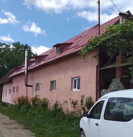 Casa Boierului Imbri Villa Cîrţişoara Bagian luar foto