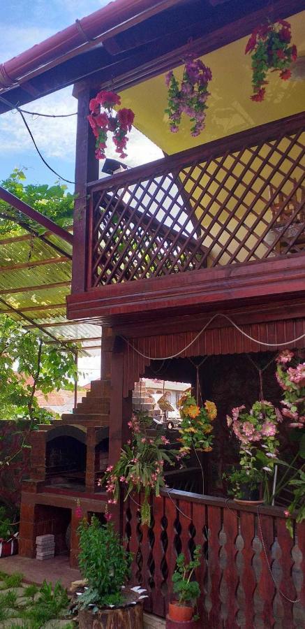 Casa Boierului Imbri Villa Cîrţişoara Bagian luar foto