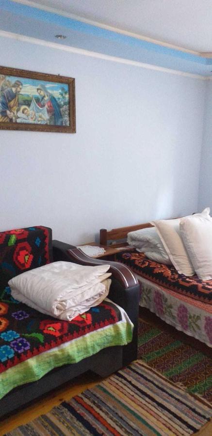 Casa Boierului Imbri Villa Cîrţişoara Bagian luar foto