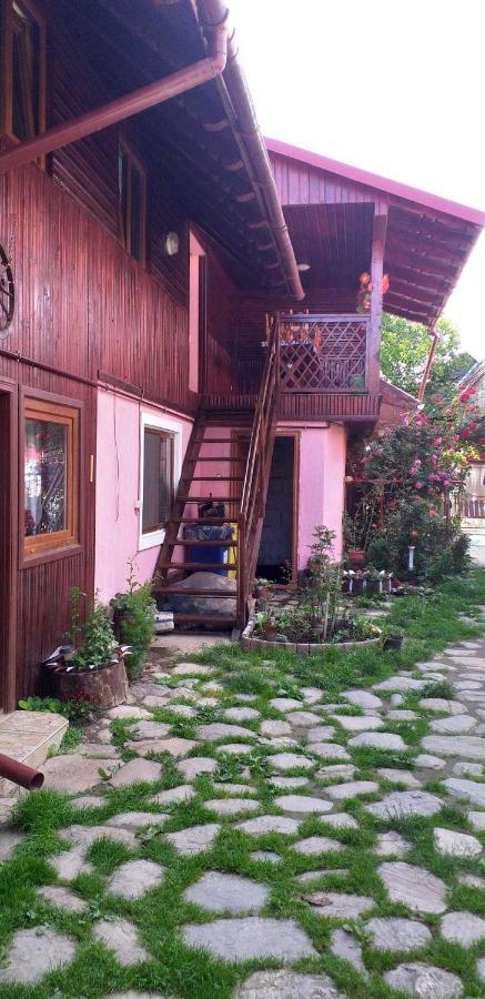 Casa Boierului Imbri Villa Cîrţişoara Bagian luar foto