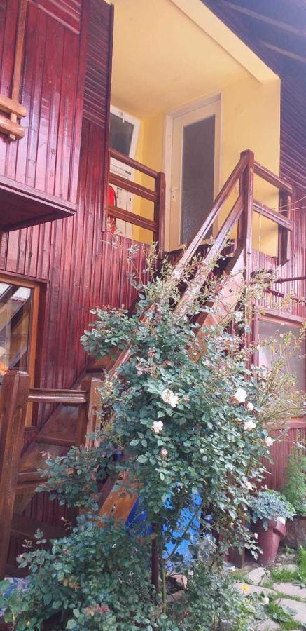 Casa Boierului Imbri Villa Cîrţişoara Bagian luar foto
