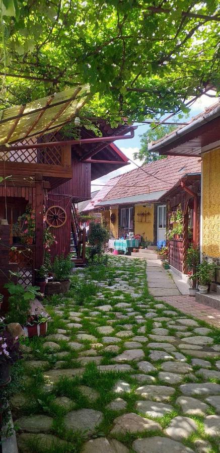 Casa Boierului Imbri Villa Cîrţişoara Bagian luar foto