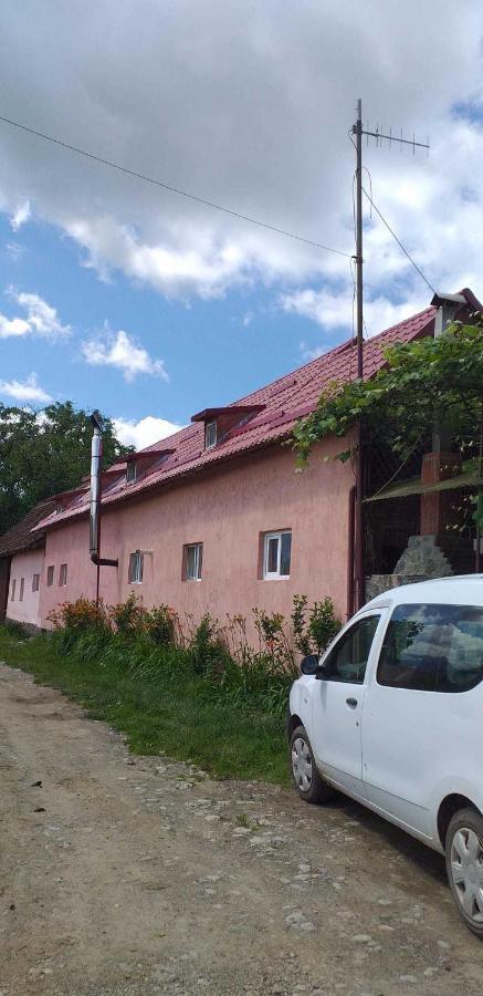 Casa Boierului Imbri Villa Cîrţişoara Bagian luar foto