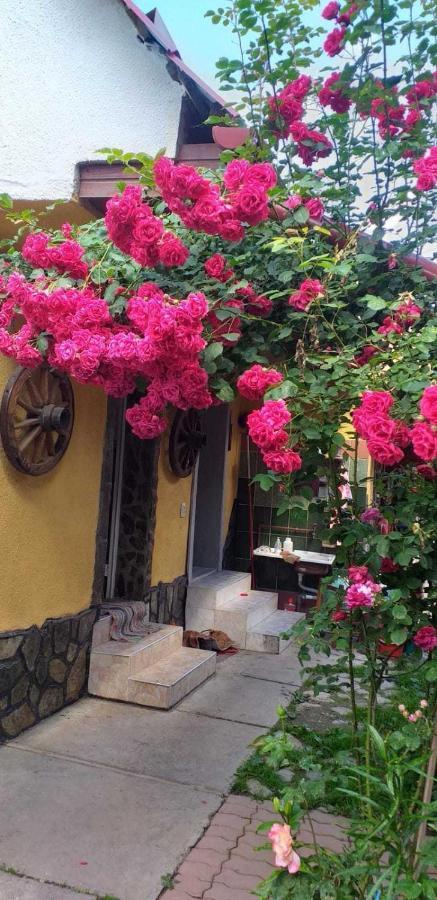 Casa Boierului Imbri Villa Cîrţişoara Bagian luar foto