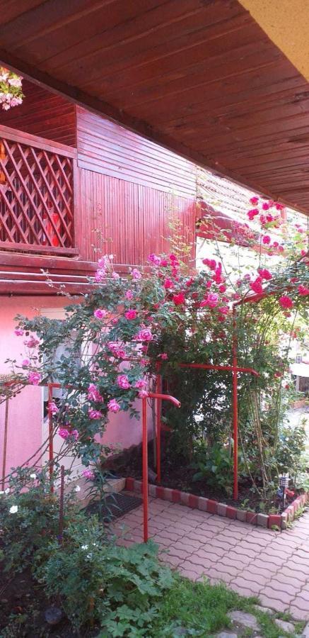 Casa Boierului Imbri Villa Cîrţişoara Bagian luar foto