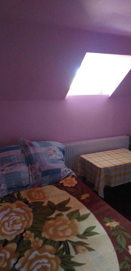 Casa Boierului Imbri Villa Cîrţişoara Bagian luar foto